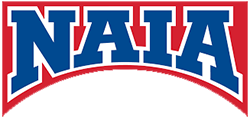 NAIA Bridge logo